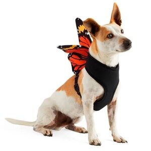 🆕 3/for $20 in a BUNDLE Bootique Butterfly Harness Costume